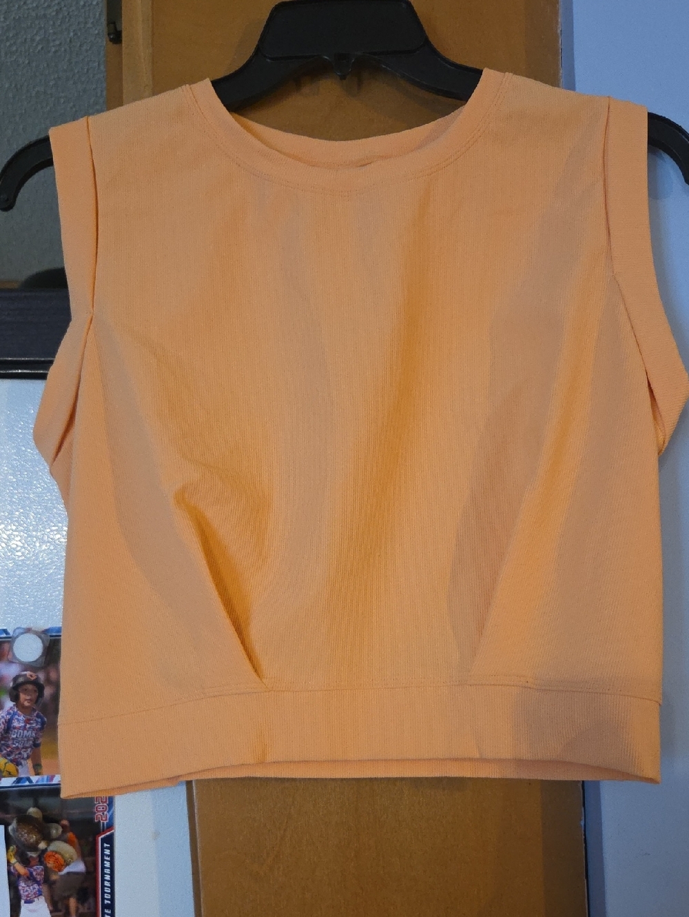 HALARA Peach Sleeveless Tank Top/Crop Top